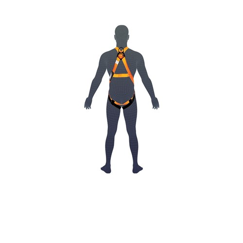 Essential Harness - Small (S)