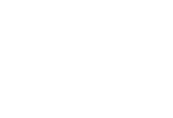 LINQ HS